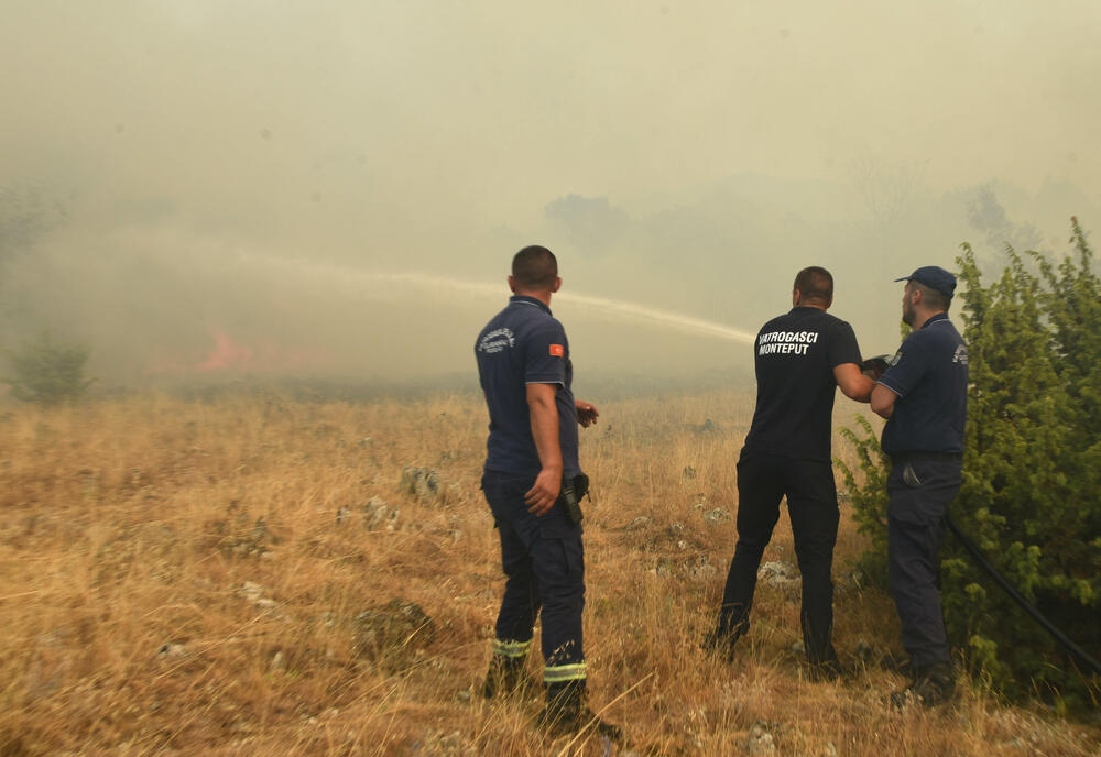 <p>U gašenju požara učestvovali su i vojnici, ali i dobrovoljci, podršku su imali i iz vazduha</p>