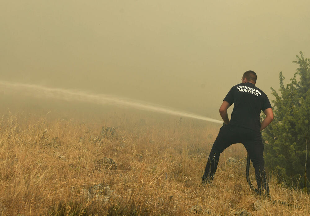 <p>U gašenju požara učestvovali su i vojnici, ali i dobrovoljci, podršku su imali i iz vazduha</p>