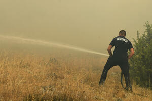 Na području Botuna izbio požar manjih razmjera, ali je brzo...