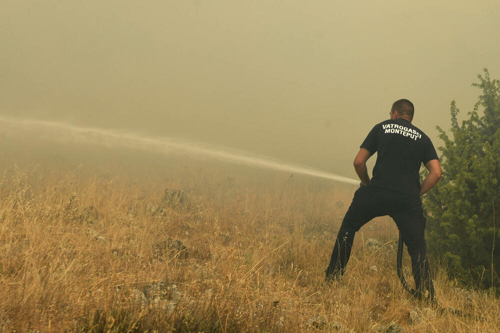 Ilustracija, Foto: Boris Pejović