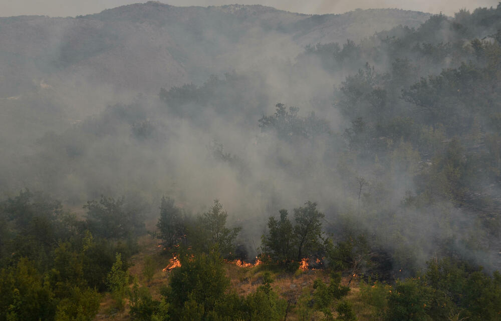 <p>U gašenju požara učestvovali su i vojnici, ali i dobrovoljci, podršku su imali i iz vazduha</p>