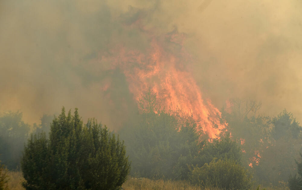 <p>U gašenju požara učestvovali su i vojnici, ali i dobrovoljci, podršku su imali i iz vazduha</p>