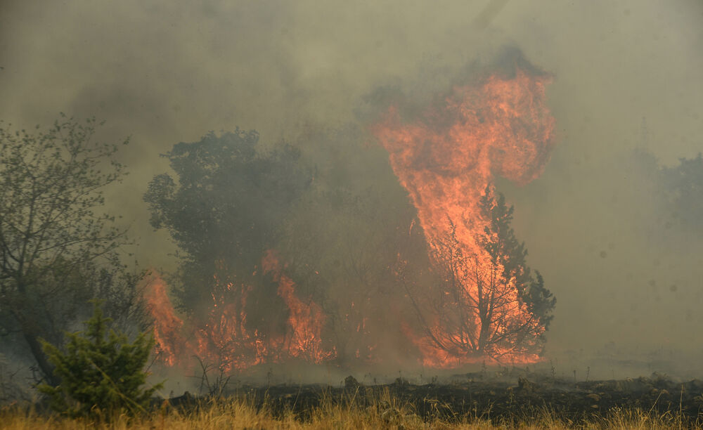 <p>U gašenju požara učestvovali su i vojnici, ali i dobrovoljci, podršku su imali i iz vazduha</p>