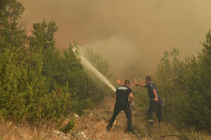 Vlada usvojila informaciju o upućivanju vatrogasaca-spasilaca na...