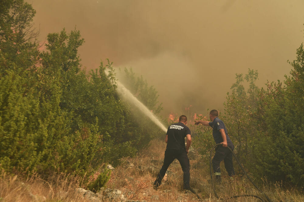Vatrogasci gase požar (Ilustracija), Foto: Boris Pejović