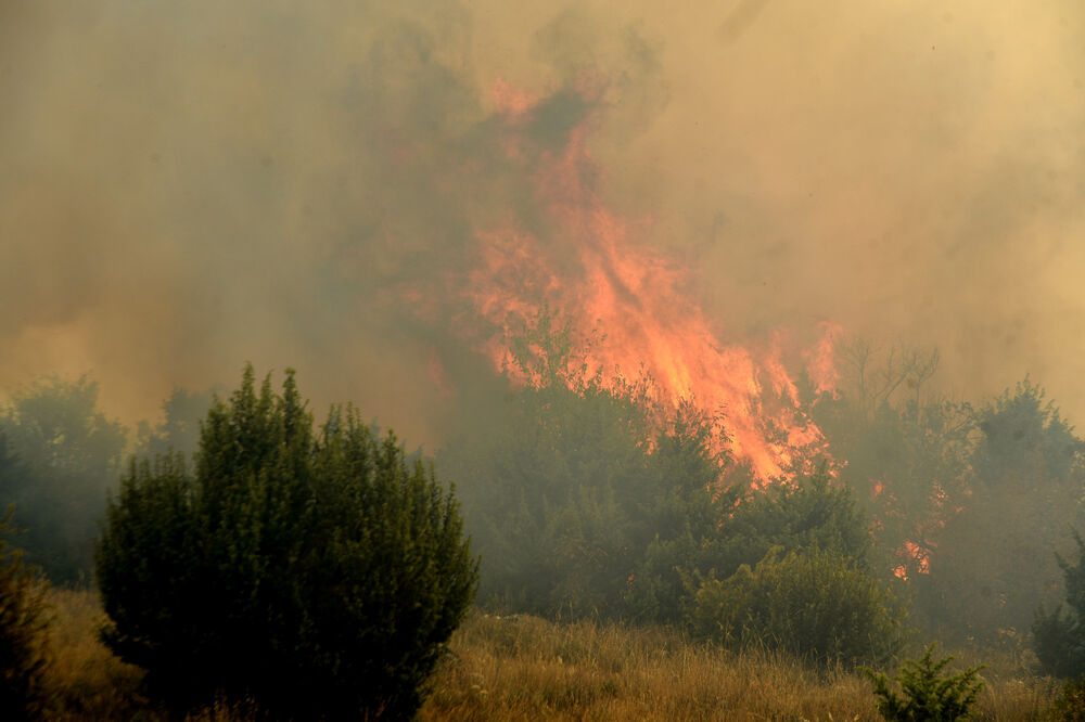 Foto: Boris Pejović