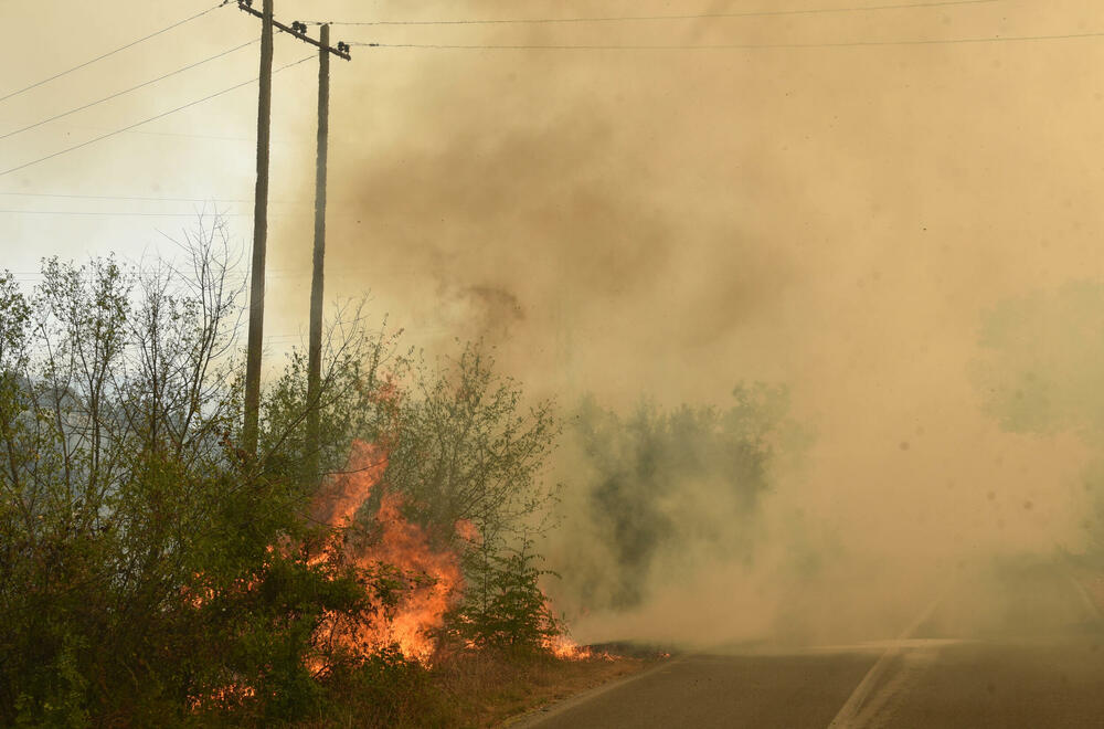 <p>U gašenju požara učestvovali su i vojnici, ali i dobrovoljci, podršku su imali i iz vazduha</p>