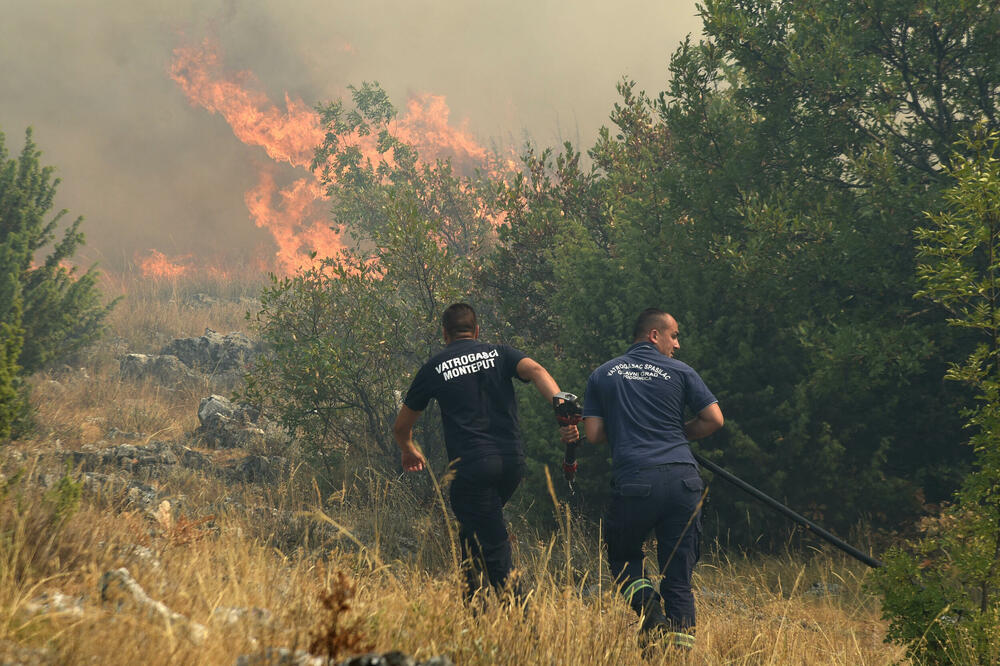 Foto: Boris Pejović