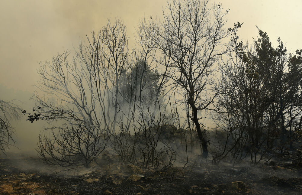 <p>U gašenju požara učestvovali su i vojnici, ali i dobrovoljci, podršku su imali i iz vazduha</p>
