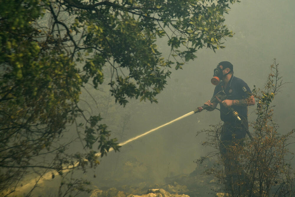 Detalj s Kosora, Foto: Boris Pejović