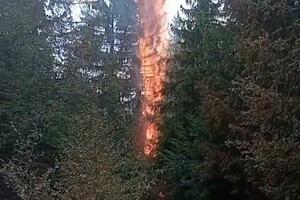 Bijelo Polje: Požar na Žuberu pod kontrolom