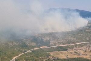 Tadić: Veliki požar u Pišteti i Dubravama