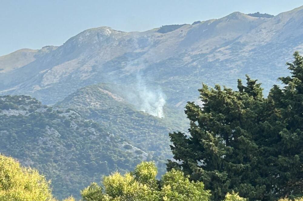 Lapčići jutros, Foto: Vuk Lajović