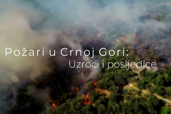Dokumentarni film &bdquo;Požari u Crnoj Gori &ndash; Uzroci i posljedice&rdquo;...