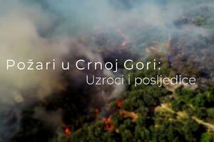 Dokumentarni film „Požari u Crnoj Gori – Uzroci i posljedice”...