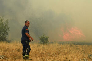 Nije sve do dima i puta, nego i do države