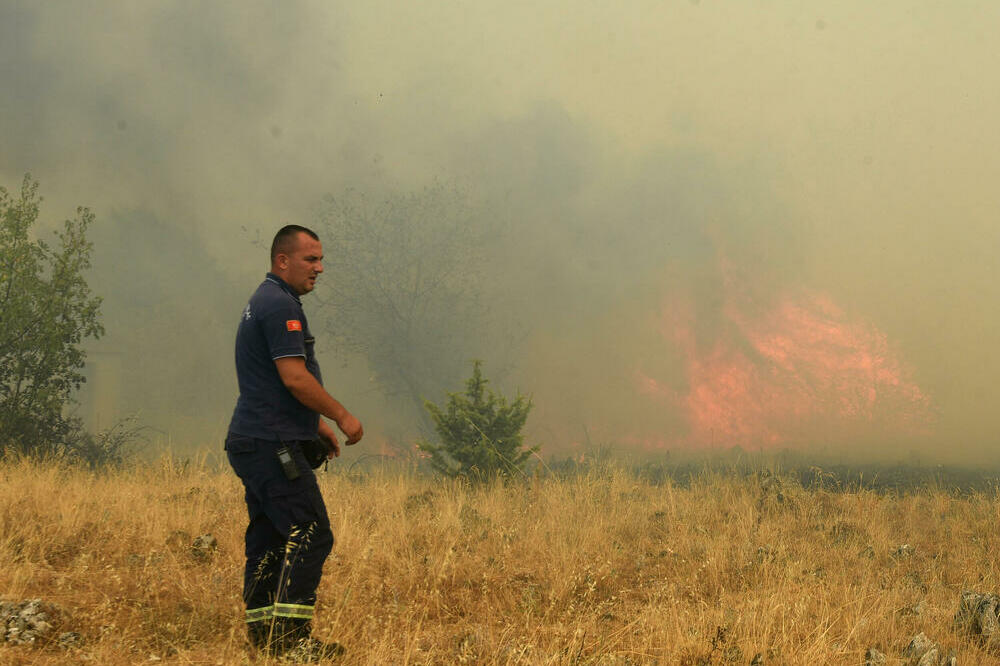 Foto: Vijesti/Boris Pejović