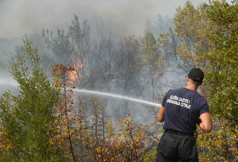 Požari se v Črni gori nadaljujejo, kritično stanje v Podgorici in okolici