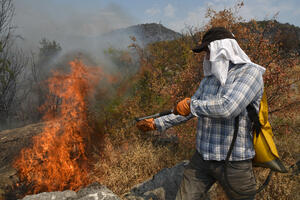 FOTO Borba s vatrom u Mjegotinu i Tojeđu