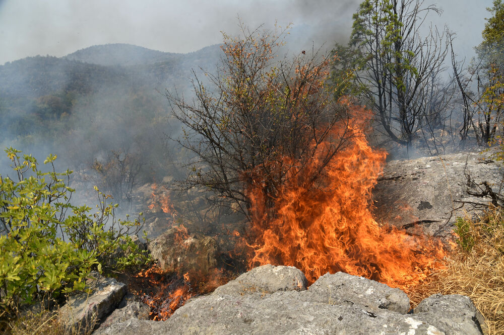Foto: Boris Pejović