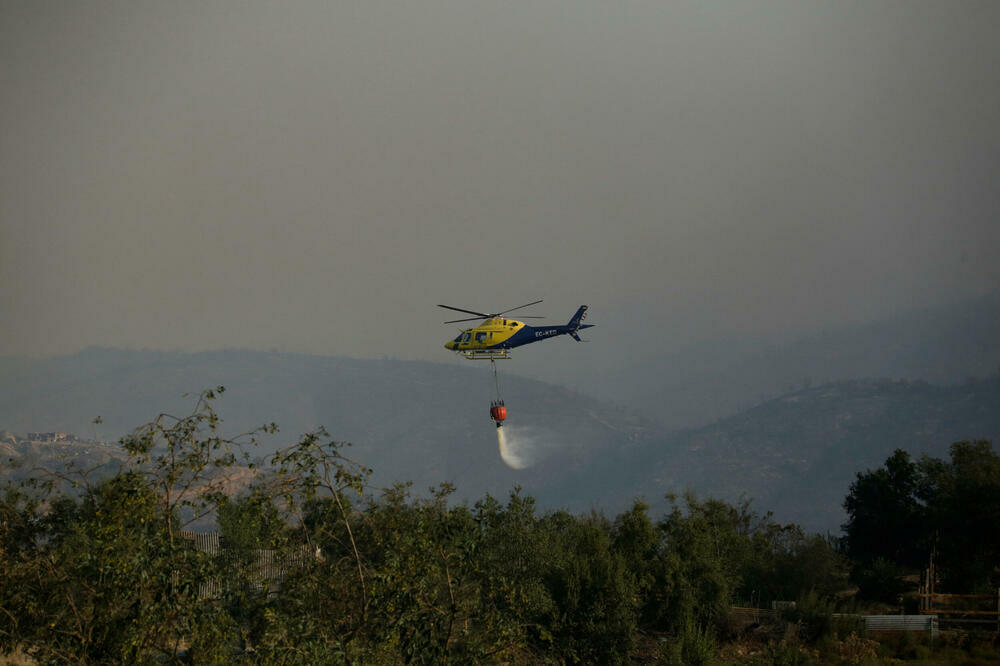 Ilustracija, Foto: REUTERS