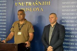 Bašanović: Muškarac priznao podmetanje požara u Podgorici