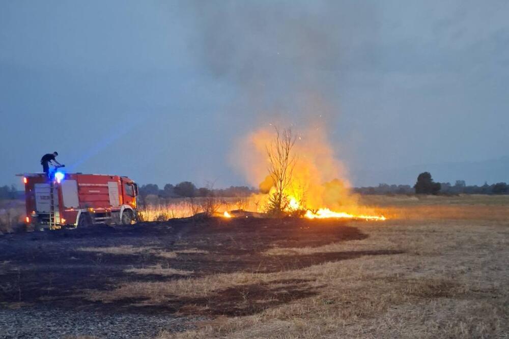 Foto: Uprava policije
