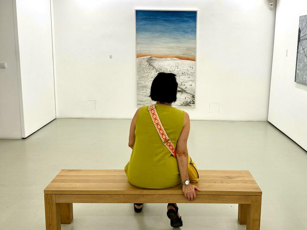 Posjetiteljka u galeriji Novembar