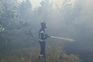 Kiša pomogla i nikšićkim vatrogascima, gori jos samo u...