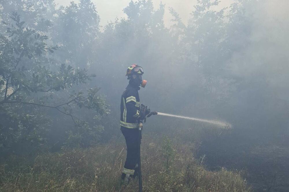 Foto: Čitalac Vijesti