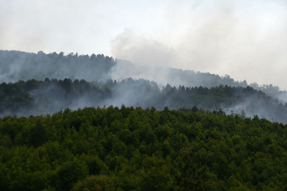 <p>U Kučkim koritima bio je i gradonačelnik Podgorice Saša Mujović </p>  <p>On i vršilac dužnosti (v.d.) Službe zaštite i spašavanja Glavnog grada Nikola Bojanović pričajli su sa mještanima i obilazili teren</p>