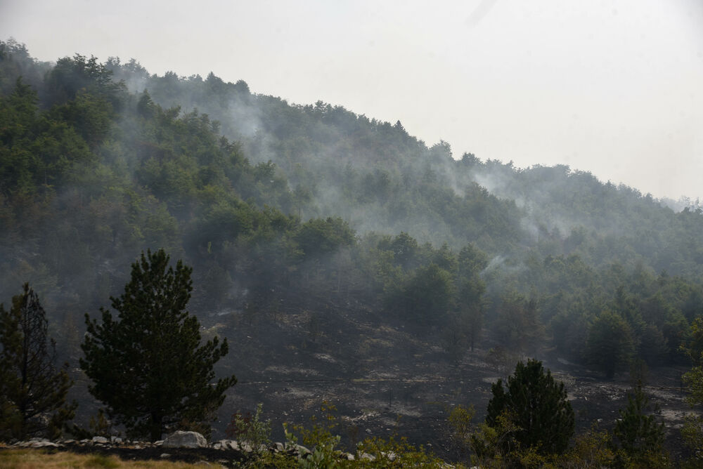 <p>U Kučkim koritima bio je i gradonačelnik Podgorice Saša Mujović </p>  <p>On i vršilac dužnosti (v.d.) Službe zaštite i spašavanja Glavnog grada Nikola Bojanović pričajli su sa mještanima i obilazili teren</p>