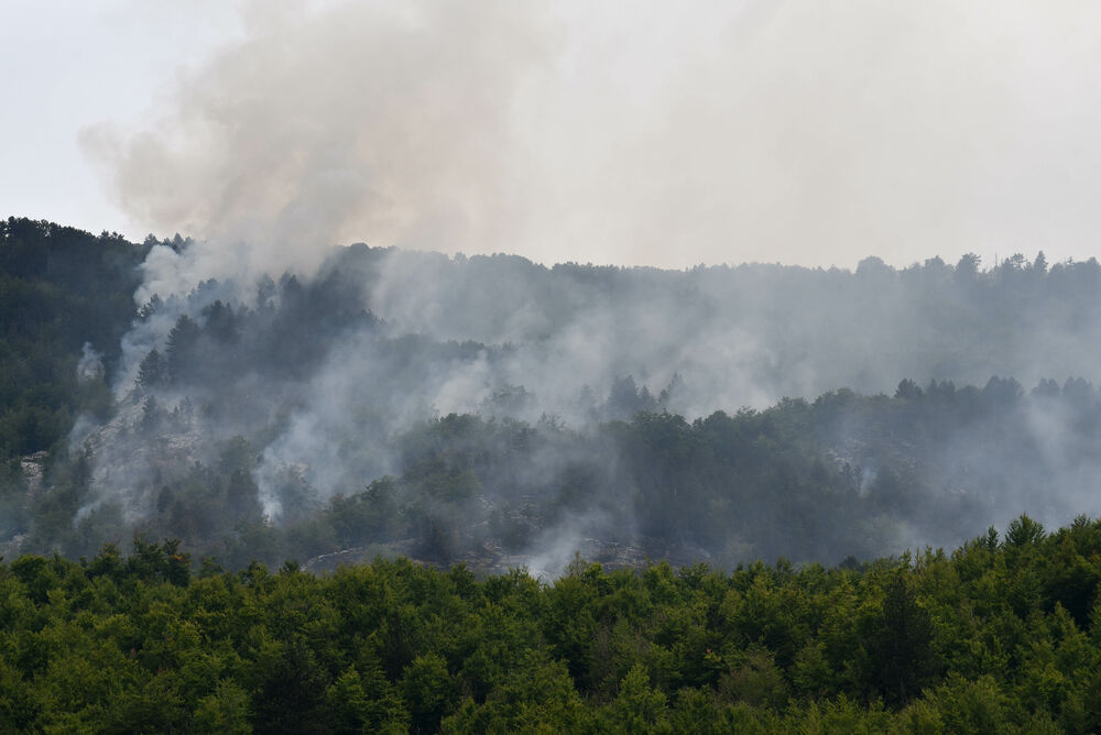 Tmušić: Najugroženije lokacije su Piperi i Kučka korita, u Crnoj...