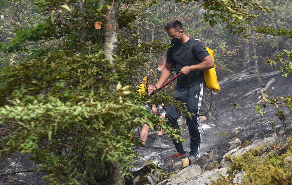 <p>U Kučkim koritima bio je i gradonačelnik Podgorice Saša Mujović </p>  <p>On i vršilac dužnosti (v.d.) Službe zaštite i spašavanja Glavnog grada Nikola Bojanović pričajli su sa mještanima i obilazili teren</p>
