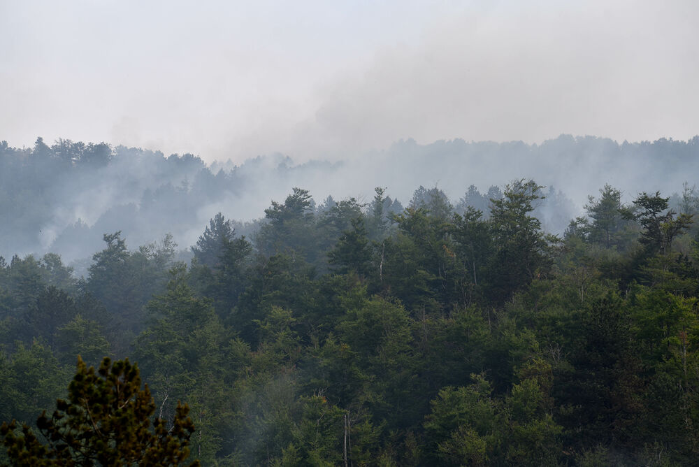 <p>U Kučkim koritima bio je i gradonačelnik Podgorice Saša Mujović </p>  <p>On i vršilac dužnosti (v.d.) Službe zaštite i spašavanja Glavnog grada Nikola Bojanović pričajli su sa mještanima i obilazili teren</p>