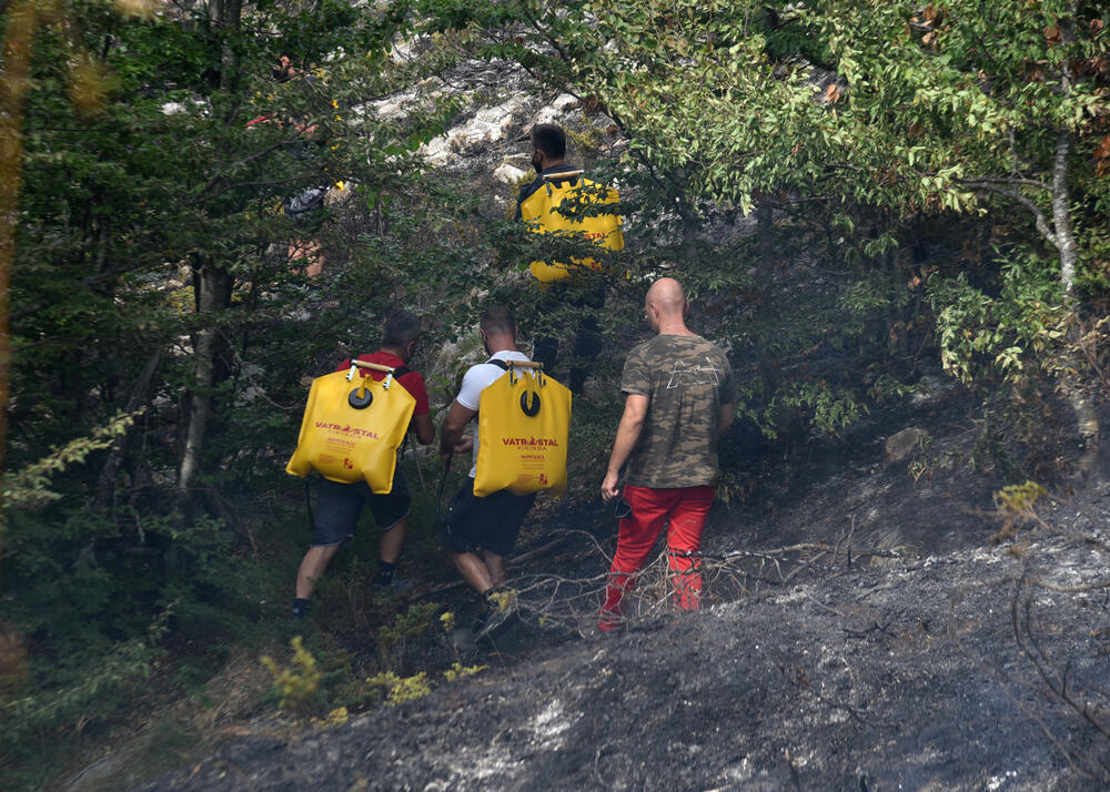 <p>U Kučkim koritima bio je i gradonačelnik Podgorice Saša Mujović </p>  <p>On i vršilac dužnosti (v.d.) Službe zaštite i spašavanja Glavnog grada Nikola Bojanović pričajli su sa mještanima i obilazili teren</p>