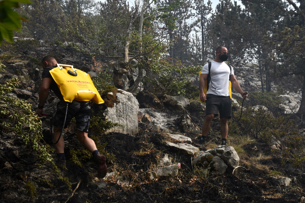 Foto: Boris Pejović