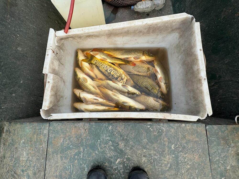 <p>Obojica su ranije osuđivani, dok je Kračković evidentiran kao specijalni povratnik</p>