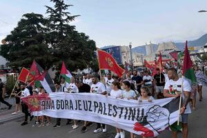 Mandić: Dok stanovnici Gaze proživljavaju grozote, Vlada sklapa...