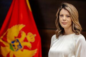 Novaković Đurović: Usvajanje PUP-a nastavlja niz bahatog i...