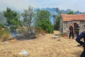 Tripković o požarima u Nikšiću: Stanje bolje nego tokom noći,...