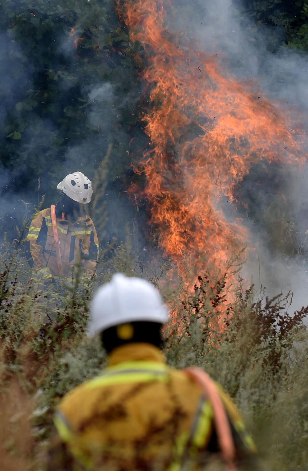 <p>Iz Direktorata za zaštitu i spasavanje MUP-a, "Vijestima" su nezvanično kazali da je vjetar aktivirao požare u Piperima i Kučima</p>