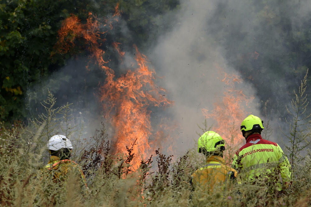 Ilustracija, Foto: Boris Pejović
