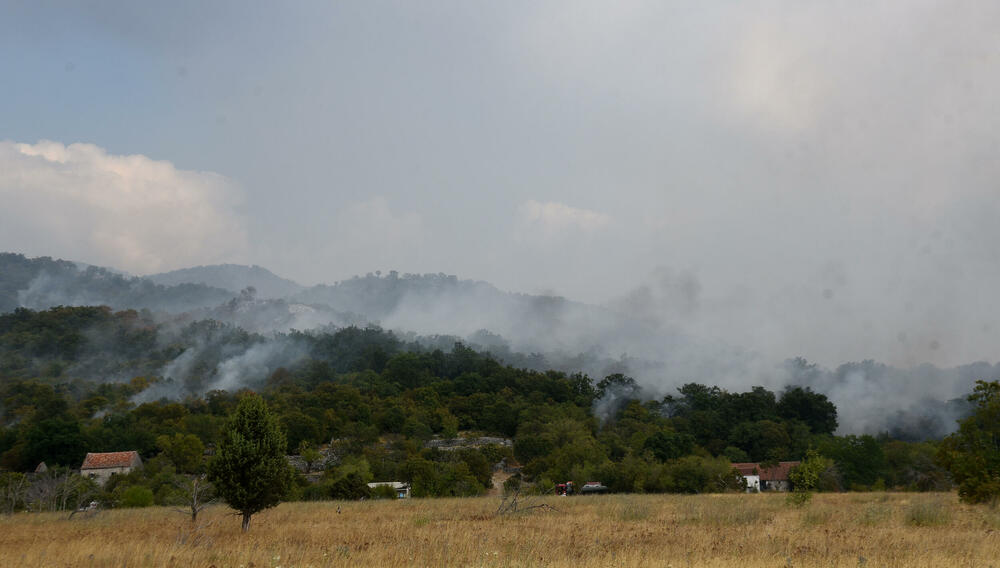 <p>Iz Direktorata za zaštitu i spasavanje MUP-a, "Vijestima" su nezvanično kazali da je vjetar aktivirao požare u Piperima i Kučima</p>
