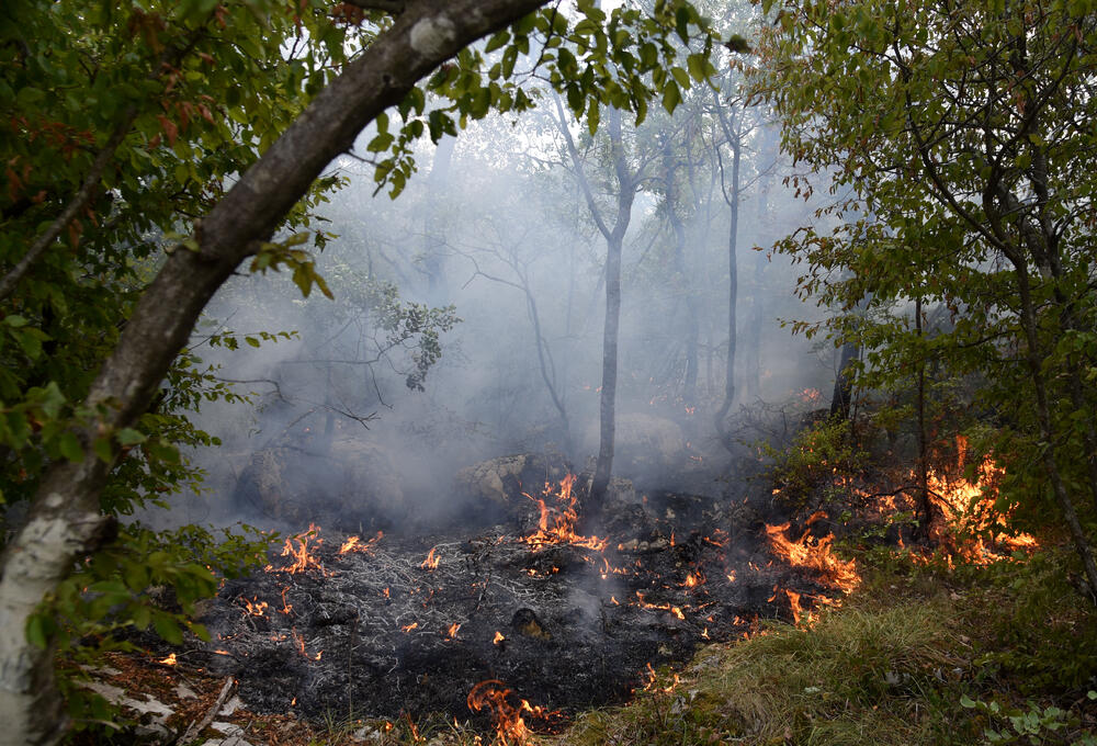 <p>Kritično je tokom dana bilo i u Kučima, na Topolovu u Danilovgradu, ali i u rejonu Petrovića i Banjanima u Nikšiću</p>  <p>"Biće međunarodne pomoći uvijek, ali mi se moramo pripremiti. Znate kako, kad nešto prođe, ne sjeća ga se niko više i to je u našoj ljudskoj prirodi”, kazao je “Vijestima” Željko Šušović iz Kopilja</p>