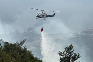 Šaranović: Snagama koje se bore sa vatrom iz vazduha pridružio se...