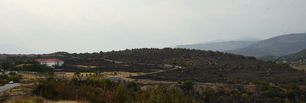<p>“Ovo su naši pradjedovi radili, ova imanja i sela krvavo su stečena”, svjedoči Jonus Purović iz Mjegotina</p>  <p>“Nema tog novca koji može da nadoknadi štetu koja je ovdje načinjena”, govori s mukom Ratko Đukić, mještanin Pipera</p>  <p>“Ne možemo svake godine živjeti s istim strahom”, ogorčen je Miodrag Laković iz Kuča</p>