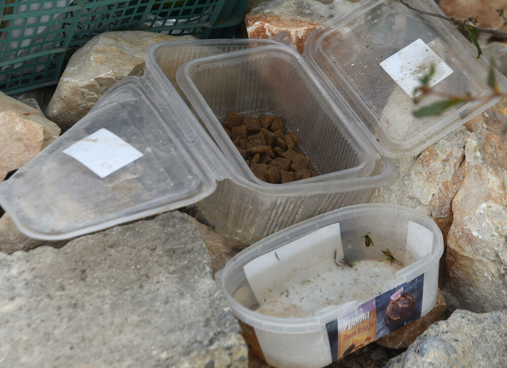 <p>“Ovo su naši pradjedovi radili, ova imanja i sela krvavo su stečena”, svjedoči Jonus Purović iz Mjegotina</p>  <p>“Nema tog novca koji može da nadoknadi štetu koja je ovdje načinjena”, govori s mukom Ratko Đukić, mještanin Pipera</p>  <p>“Ne možemo svake godine živjeti s istim strahom”, ogorčen je Miodrag Laković iz Kuča</p>