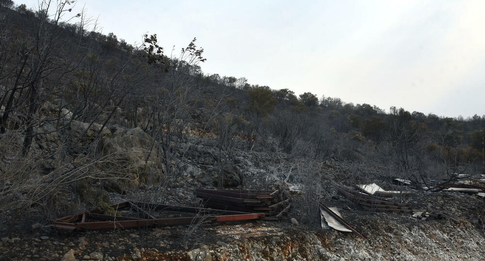 <p>“Ovo su naši pradjedovi radili, ova imanja i sela krvavo su stečena”, svjedoči Jonus Purović iz Mjegotina</p>  <p>“Nema tog novca koji može da nadoknadi štetu koja je ovdje načinjena”, govori s mukom Ratko Đukić, mještanin Pipera</p>  <p>“Ne možemo svake godine živjeti s istim strahom”, ogorčen je Miodrag Laković iz Kuča</p>