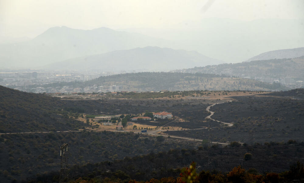 <p>“Ovo su naši pradjedovi radili, ova imanja i sela krvavo su stečena”, svjedoči Jonus Purović iz Mjegotina</p>  <p>“Nema tog novca koji može da nadoknadi štetu koja je ovdje načinjena”, govori s mukom Ratko Đukić, mještanin Pipera</p>  <p>“Ne možemo svake godine živjeti s istim strahom”, ogorčen je Miodrag Laković iz Kuča</p>